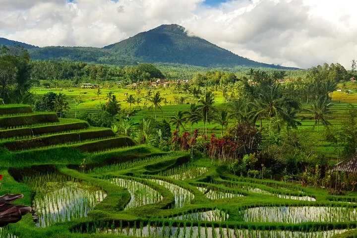 Handara Gate + Jatiluwih Rice Terrace + Lake Beratan