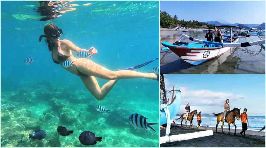 Padang Bai Snorkelling + Horse Riding + Ubud Zipline