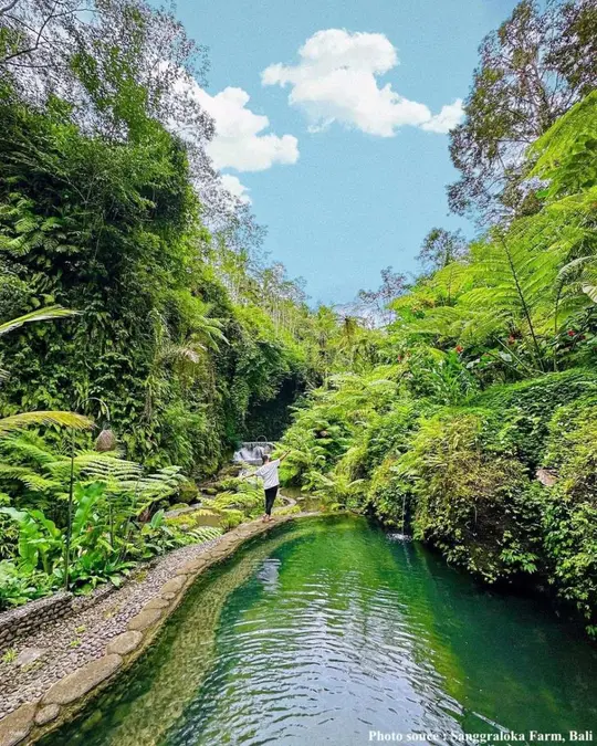 Healing in Ubud: Sangraloka Farm Payangan